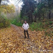 ���������� �������, ���� ������� ���������, 66 ���, ������������ ��� c�������� ���������