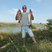 ���������� ���������, ���� ������� ��������, 43 ����, ������������ ��� ������, ����� � ���������, c�������� ���������