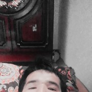  ,  Bulbul bobo, 34