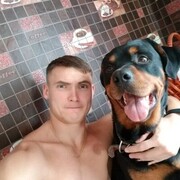  ,   , 41 ,   ,   