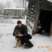  ,   , 38 ,  