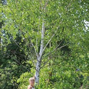 ���������� �����, ���� ������� ��������, 52 ����, ������������ ��� ������, ����� � ���������, c�������� ���������