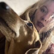 ���������� �����, ����