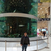  ,   , 31 ,   ,   , c 
