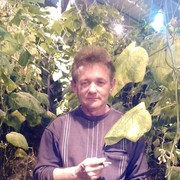  ,   , 53 ,   