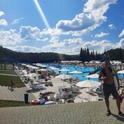 ���������� �����, ���� ������� ���������, 31 ���, ������������ ��� ������, ����� � ���������, c�������� ���������