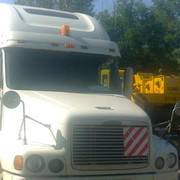 ���������� ����-�����������, ���� ������� ��������, 38 ���, ������������ ��� ������