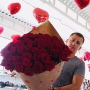 ���������� ���������, ���� ������� �������, 33 ����, ������������ ��� ������, ����� � ���������, c�������� ���������, ���������