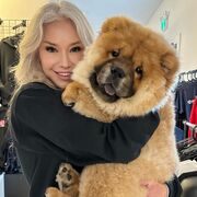 ���������� �����-���������, ���� ������� ���������, 32 ����, ������������ ��� ������, ����� � ���������