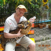 ���������� ������, ���� ������� �������, 54 ����, ������������ ��� ������, ����� � ���������, c�������� ���������