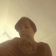  ,  , 22