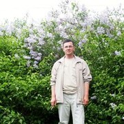 ���������� ������, ���� ������� ���������, 62 ����, ������������ ��� ������, ����� � ���������, c�������� ���������