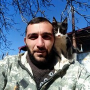 ���������� ������, ���� ������� �����, 44 ����, ������������ ��� ������, ����� � ���������