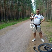 ���������� �����-���������, ���� ������� �����, 36 ���, ������������ ��� ������, ����� � ���������, c�������� ���������