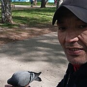  ,   , 46 ,   ,   