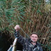 ���������� ����, ���� ������� ������, 42 ����, ������������ ��� ������, ����� � ���������