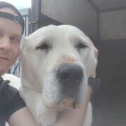 ���������� ��������, ���� ������� ������, 27 ���, ������������ ��� c�������� ���������, ���������