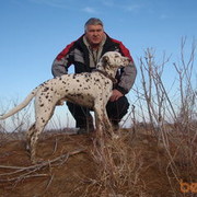 ���������� ������, ���� ������� ������, 59 ���, ������������ ��� ������