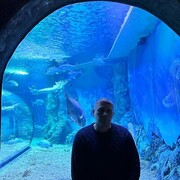 ���������� ������, ���� ������� ������, 48 ���, ������������ ��� ������, ����� � ���������