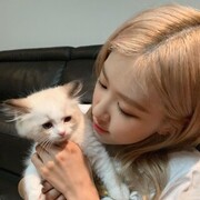 ���������� ������, ���� ������� Rose, 28 ���, ������������ 