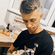  -,   , 28 ,   ,   