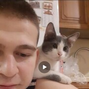  --,   , 24 ,   ,   