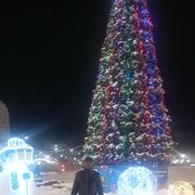 ,   , 48 ,   ,   