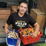 ���������� ������������, ���� ������� ������, 38 ���, ������������ ��� ������, ����� � ���������, c�������� ���������, ���������