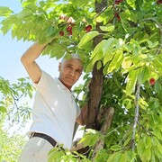 ,   , 66 ,     , c 