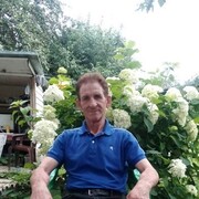  ,   , 65 ,   ,   