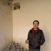  ,   Timur, 44 ,   