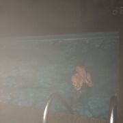 ���������� ����, ���� ������� ����, 33 ����, ������������ ��� ������, ����� � ���������, c�������� ���������, ���������