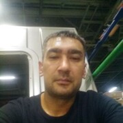   ,   , 41 ,  