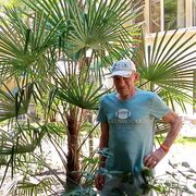 ���������� ������-��-����, ���� ������� ������, 67 ���, ������������ ��� ������, ����� � ���������