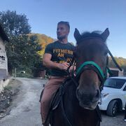 ���������� ����, ���� ������� �������, 34 ����, ������������ ��� c�������� ���������