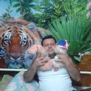  ,   , 46 ,  