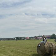 ���������� ����������, ���� ������� ������, 31 ���, ������������ ��� ������, ����� � ���������