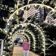 ���������� ������, ���� ������� �����, 27 ���, ������������ ��� ������