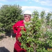  ,   , 66 ,     , c 