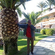  ,   Vitek, 60 ,   