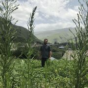  ,   , 43 ,   ,   