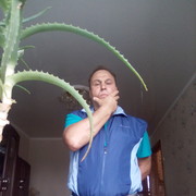  ,   , 55 ,     , c 