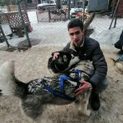 ���������� ������, ���� ����� �����, 24 ����, ������������ ��� ������, ����� � ���������, c�������� ���������