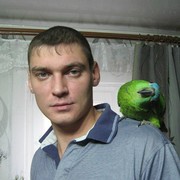  -,   , 40 ,   ,   , c 