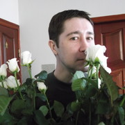  ,   akc, 39 ,   ,   , c 