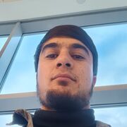 ���������� ������, ���� ����� Sardor, 25 ���, ������������ ��� ������, ����� � ���������, c�������� ���������