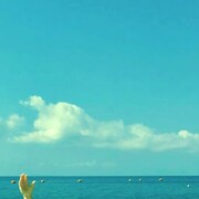 ���������� �����������, ���� ������� ������, 43 ����, ������������ ��� ������, ����� � ���������, c�������� ���������