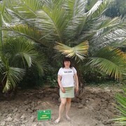  ,   , 53 ,   ,   
