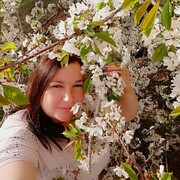  ,   , 41 ,   ,   , c , 