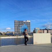 ���������� ���������, ���� ������� ���������, 41 ���, ������������ ��� ������, ����� � ���������, c�������� ���������